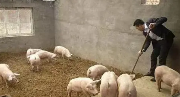 一文读懂，谁才是美国真正的“主人”