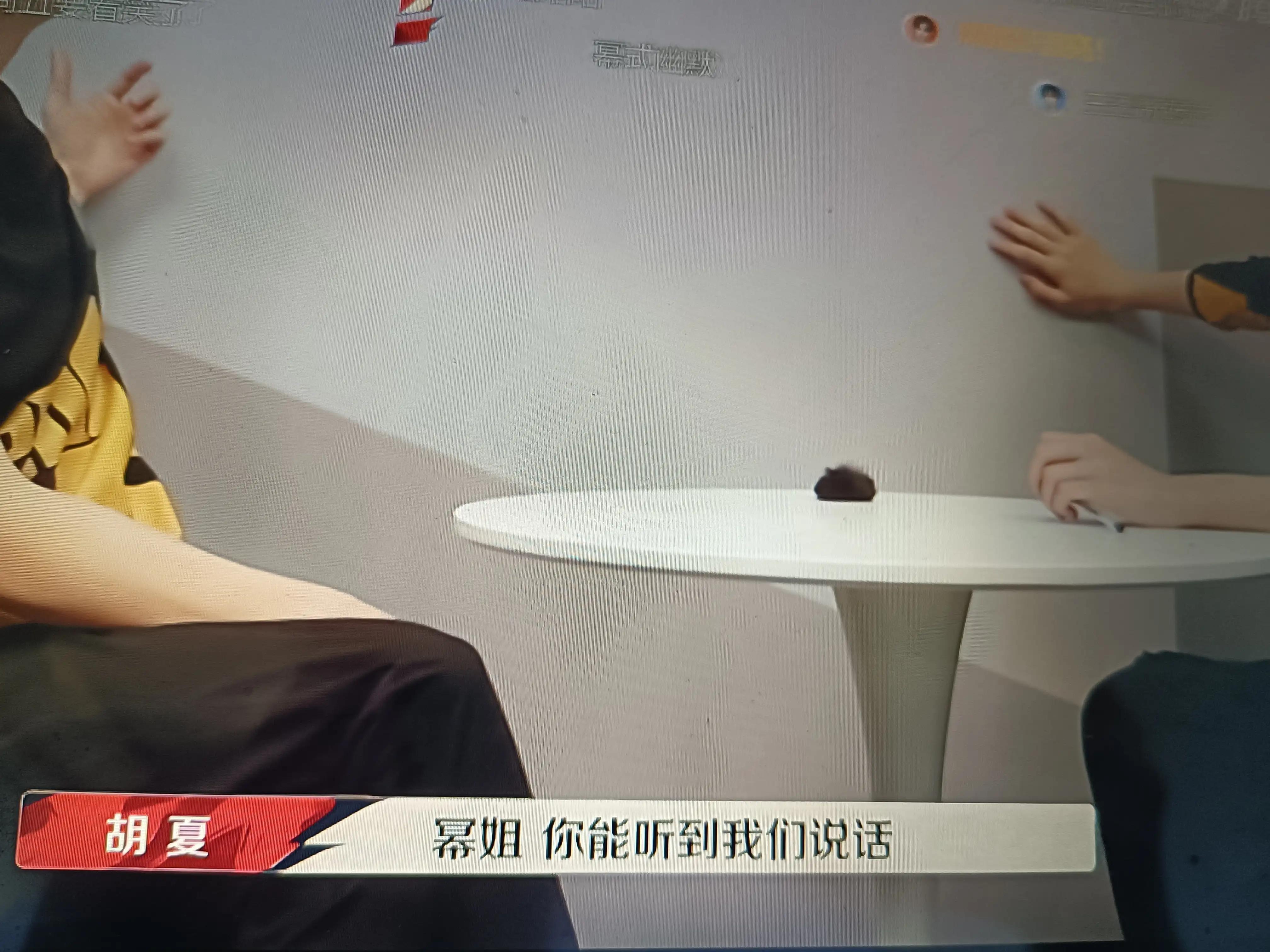 杨幂36计抢队友，宋祖儿心累道：我到底做错了什么