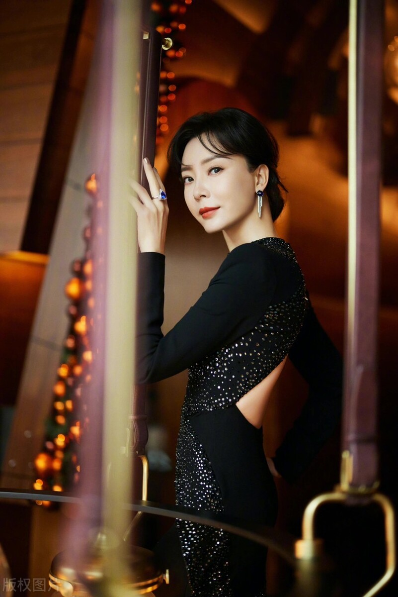 貌美如仙陈数