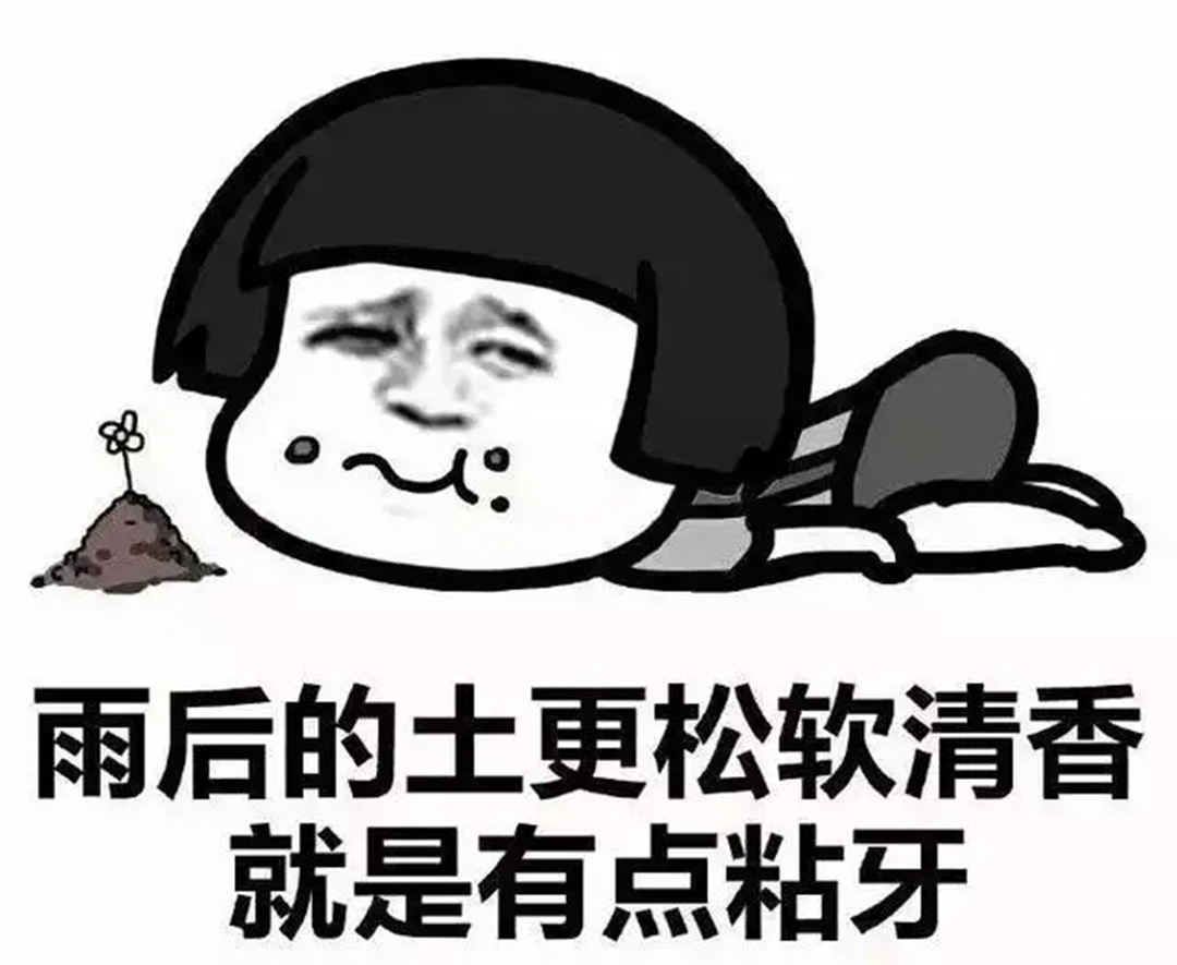 三千块招得到个大学生,两千块能招幼儿园老师,幼教人真不值钱?