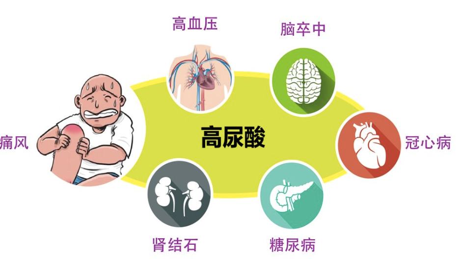 硝苯地平和氨氯地平有何区别，哪个效果好副作用小？痛风用哪个？