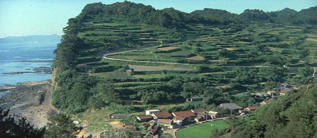 世界电影（0160）日本电影《浪花之恋》（1984）剧照欣赏