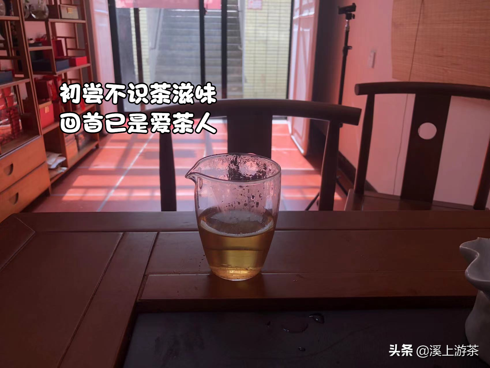 什么茶适合长期喝