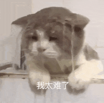 太难了！房子没了，还要倒赔500万！医药大变脸，医药女神在哭泣