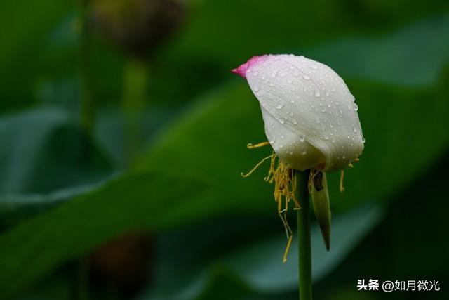 女人50岁出头，一看身上就没有钱，有哪些明显的特征？