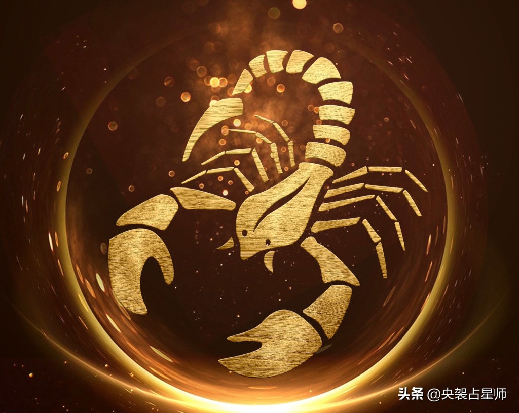 天蝎座金牛座(天蝎座金牛座合得来吗)