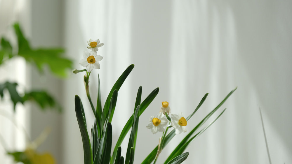 喝酒的最高境界，史上最经典的50句饮酒诗词