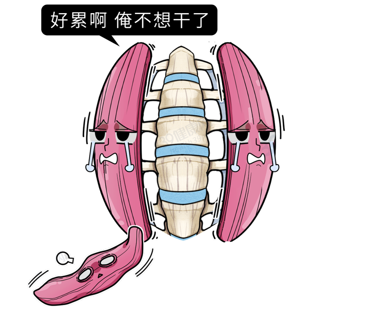 别再只是「把背挺直」了！正确的坐姿是这样的，很多人还不知道