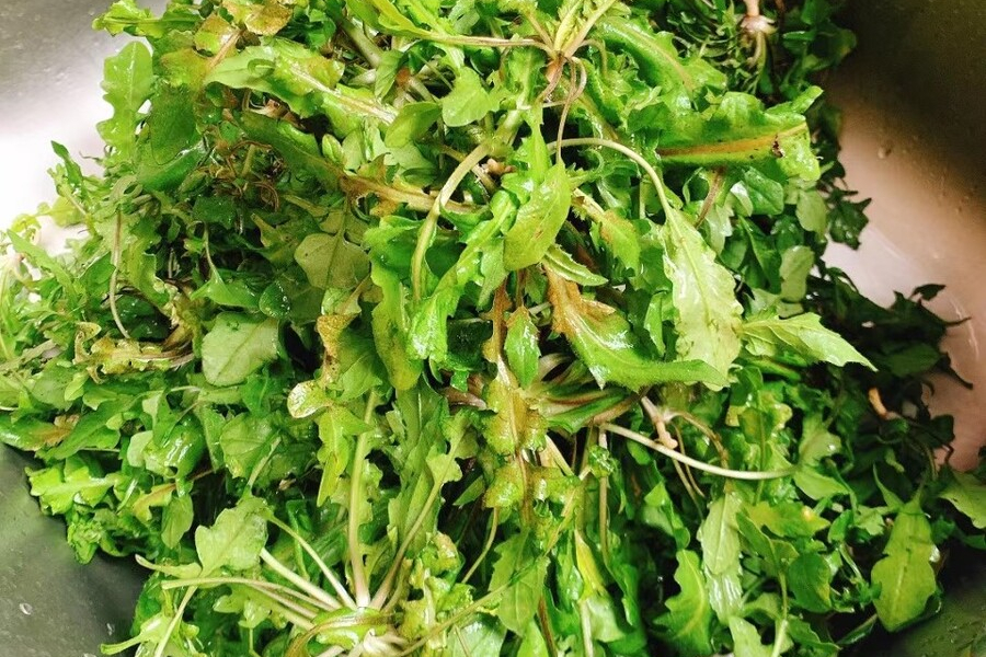 蔬菜保鲜：别直接放冰箱，分享4种蔬菜保鲜法，放一年都不会坏