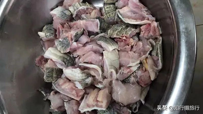 鱷魚肉怎么吃,
