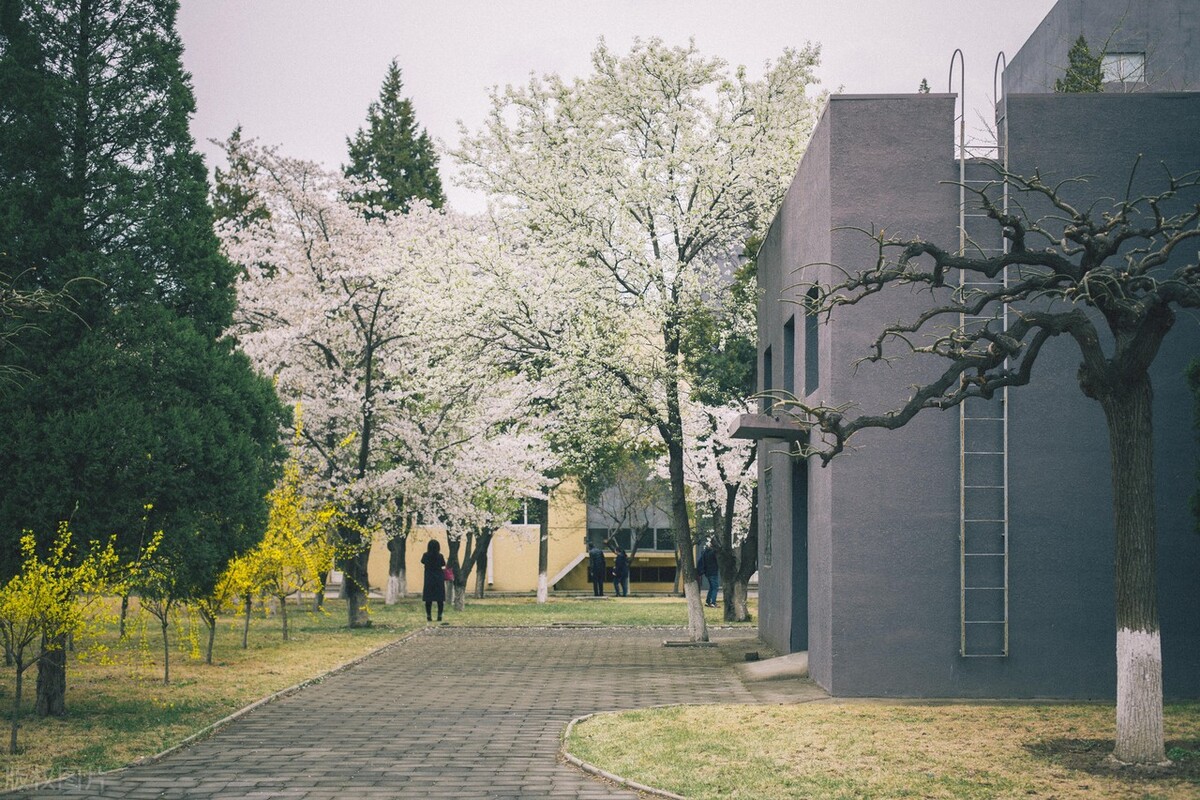 这4所北京的独立学院，适合分数不高的本科生报考，未来留在北京