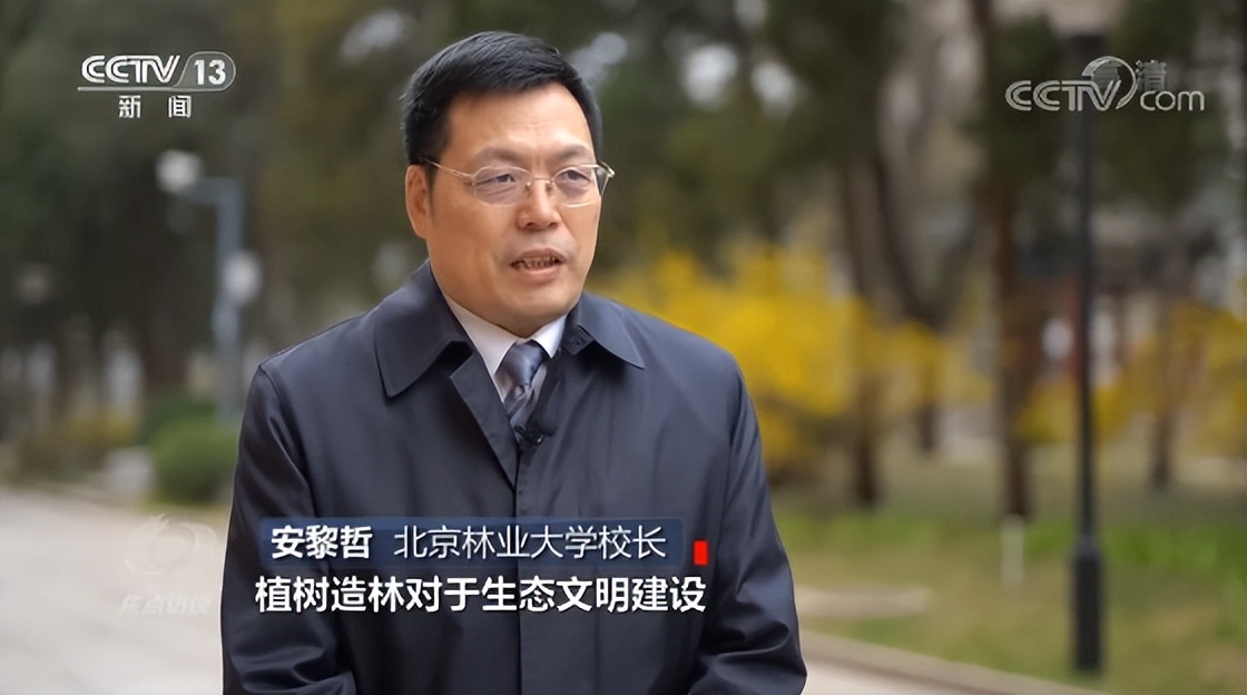 央媒聚焦！北京6位教师：接连受到央视、人民日报等采访，任职同所双一流！