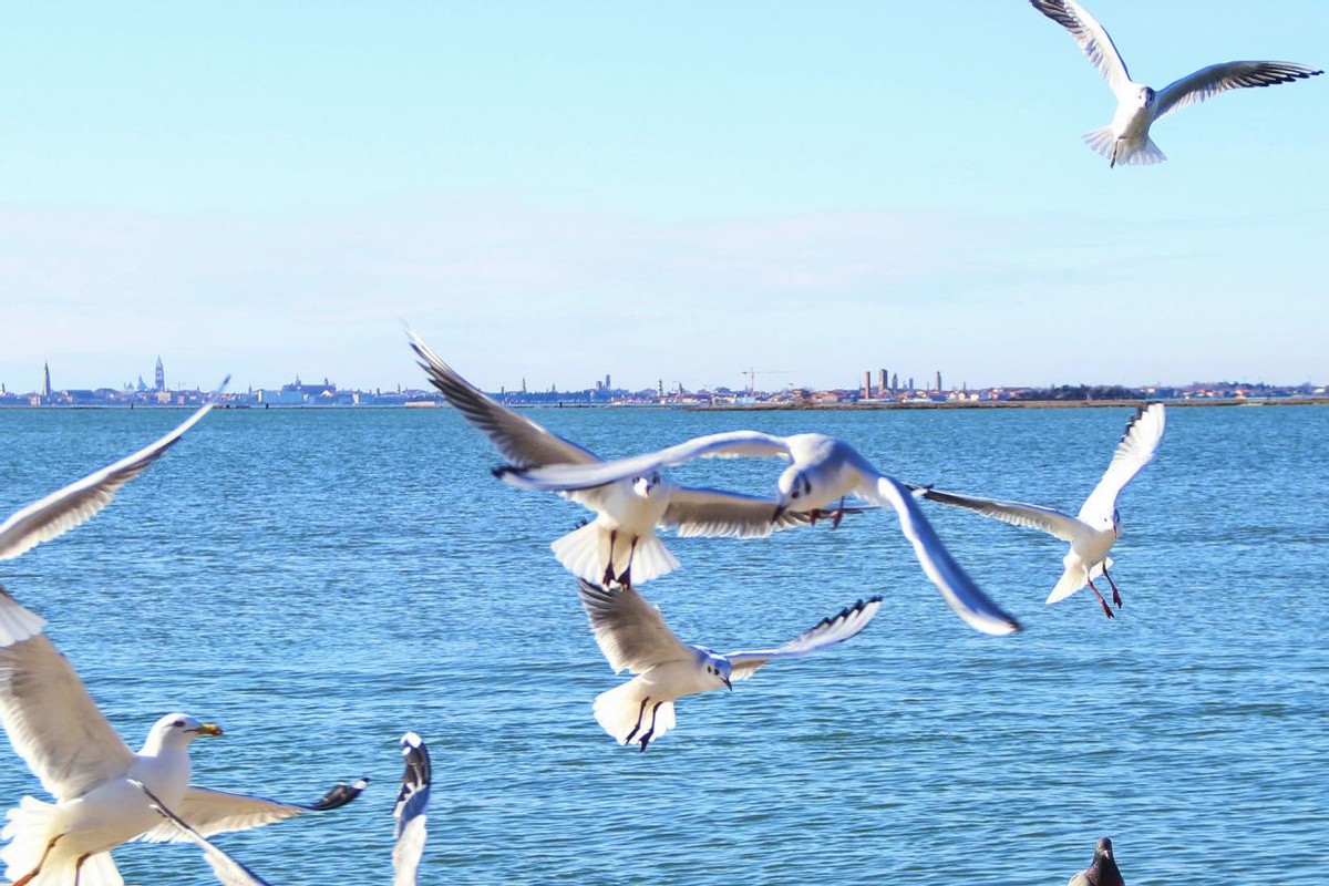 走近中老铁路⑦