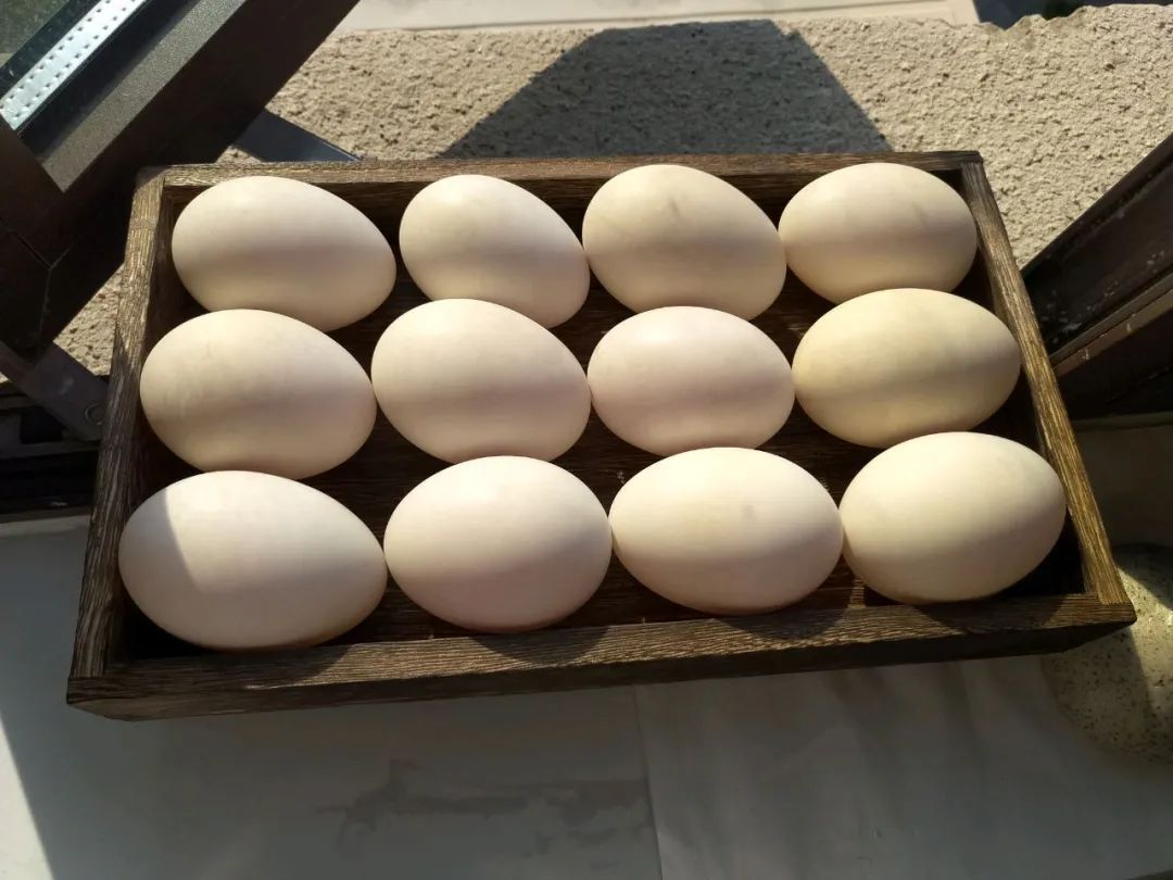 三步咸鸭蛋！沙子里出油还不咸，半个月就可以吃了。