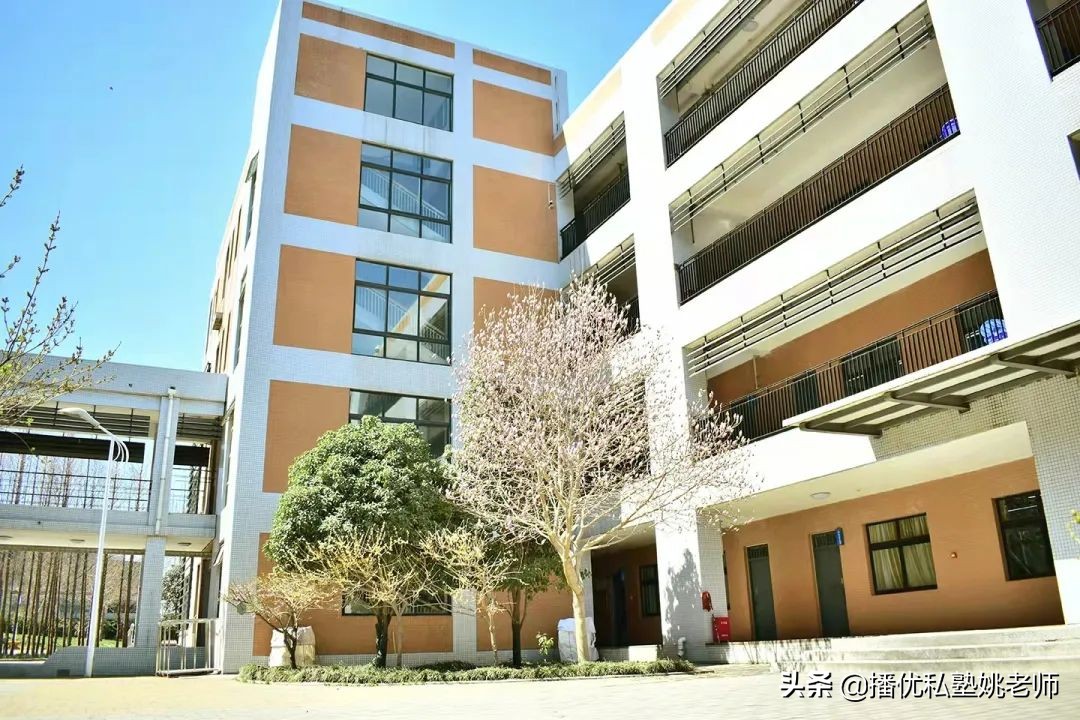 郑州中考一批次志愿怎么选？播优推荐的这几所高中都很热门