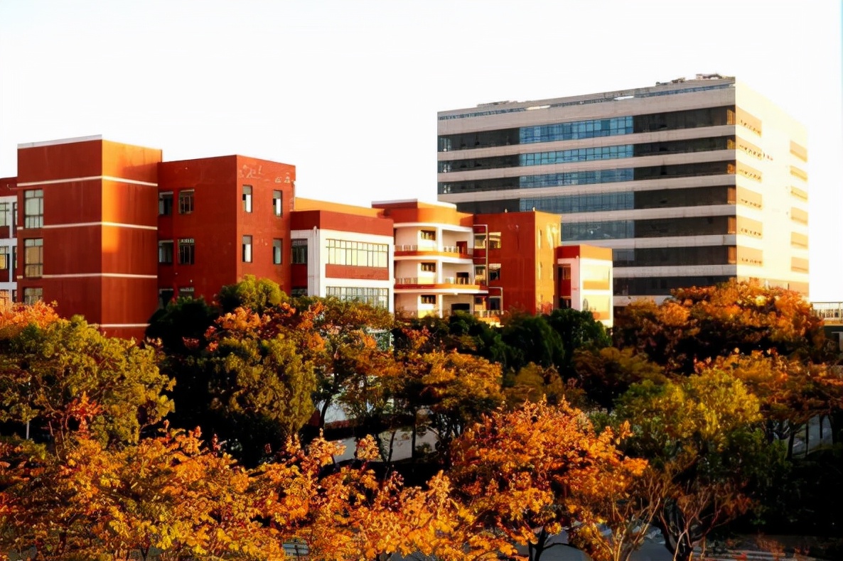 三年专业第一！上海这位全能学霸：捧回重量级大奖，全国仅26人！