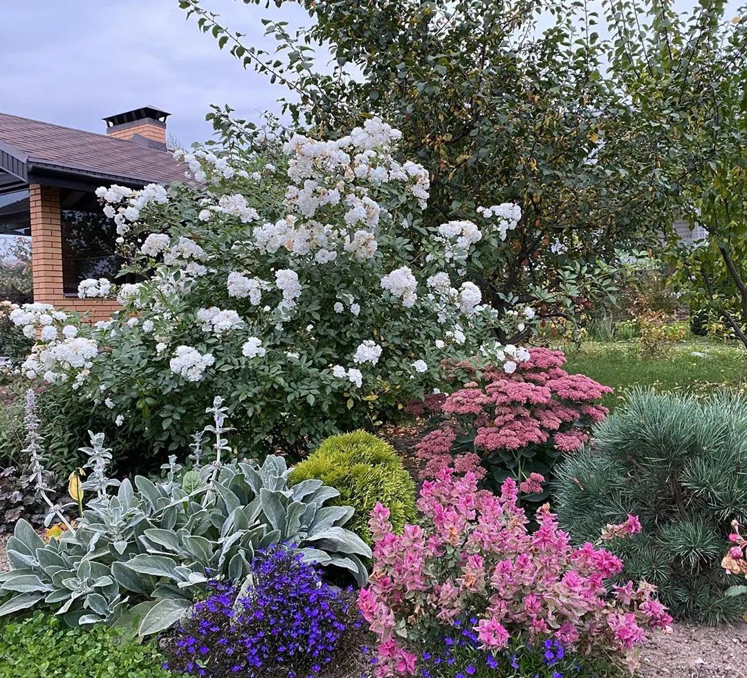 25种花境设计，让生活更美好，你最喜欢哪种？