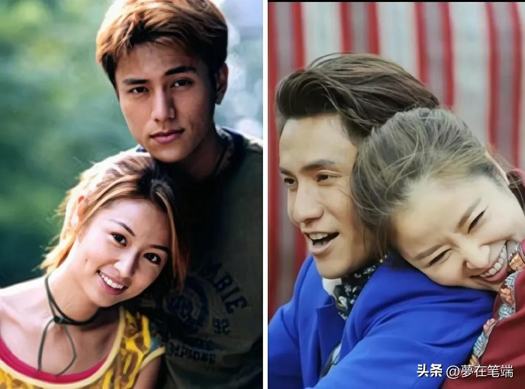 电视剧紫藤恋剧情介绍(终于明白林志颖和林心如当年为何分手了,她拍戏