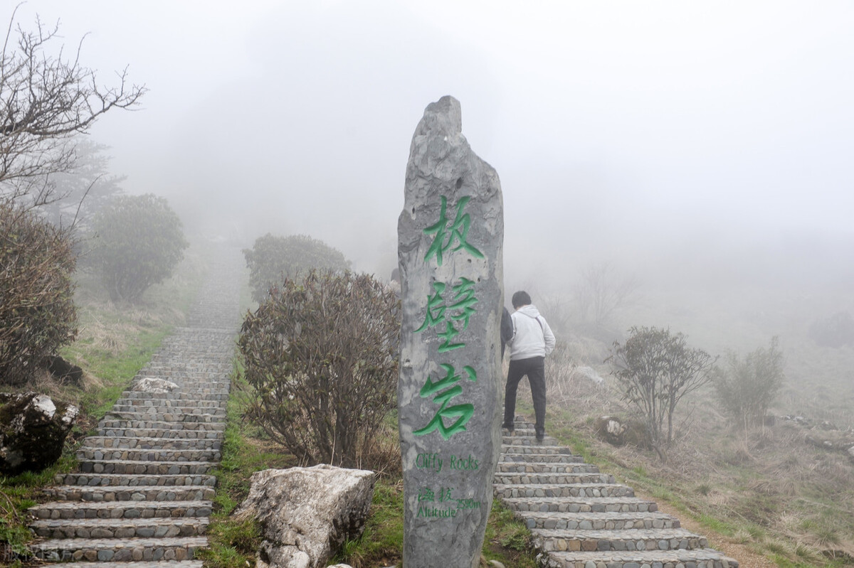 推荐作文：《今天真好》攀登神龙顶，满眼好风景