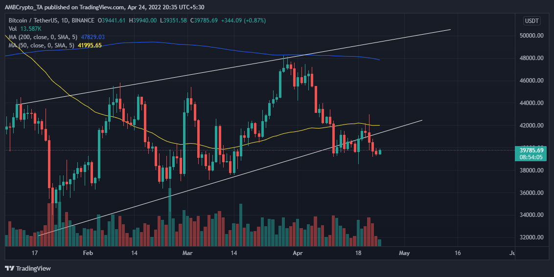 比特币 「BTC」：这可能预示着接下来会发生什么