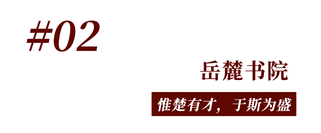 岳麓山，“枫”了！