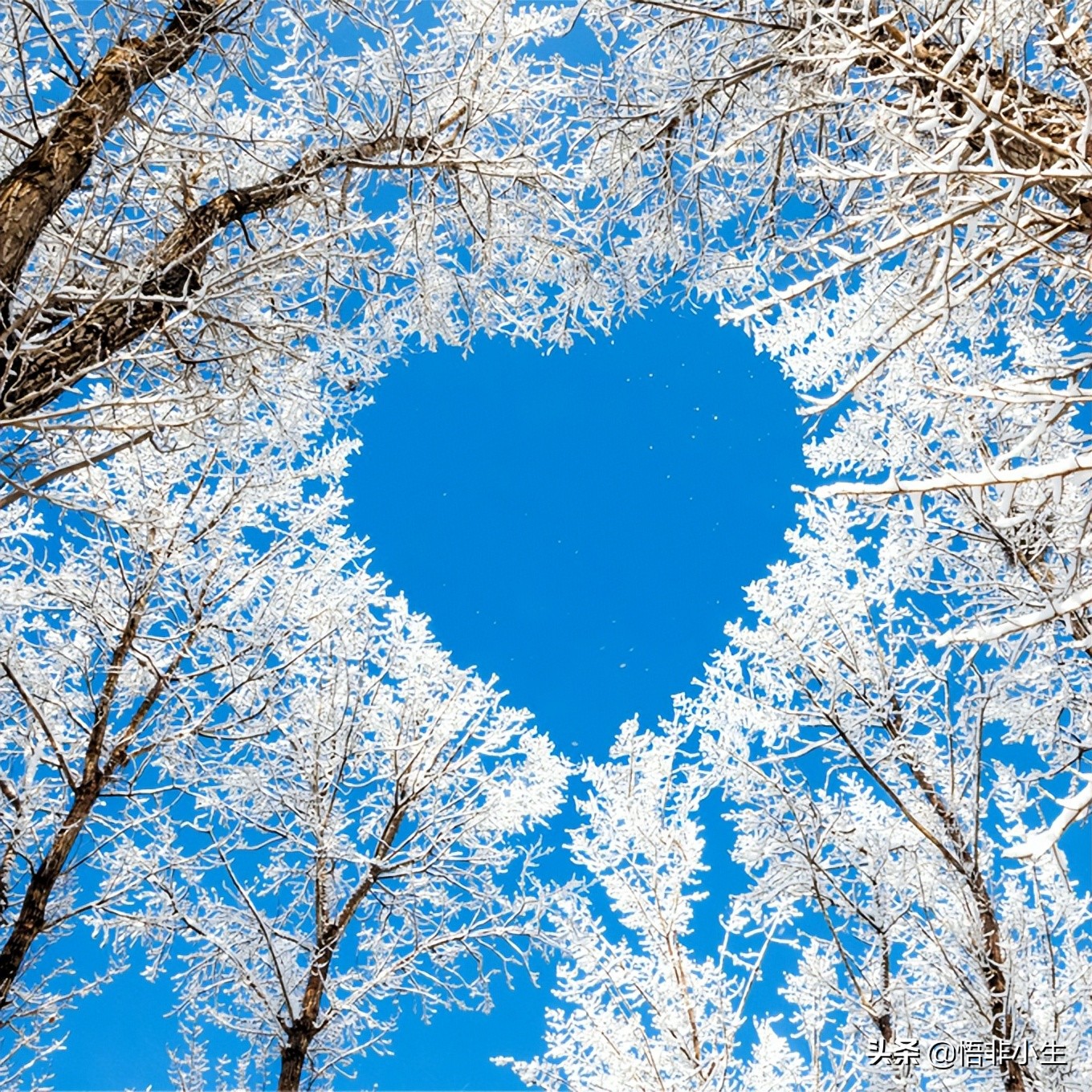 最唯美浪漫的10首现代诗，背会4首以上，你也是个温情的人