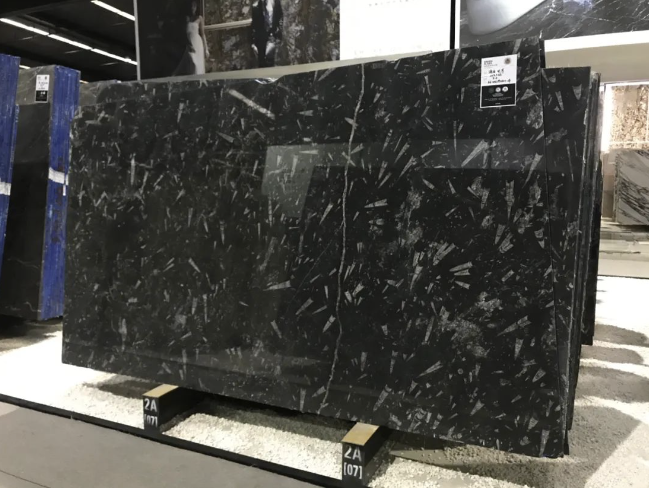 石材里的化石你见过吗？都有哪些石材里面有化石呢