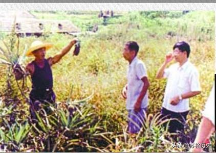 鼠王邱满囤巅峰时被专家攻击，鼠患时又被请出山，秘方至死未公开