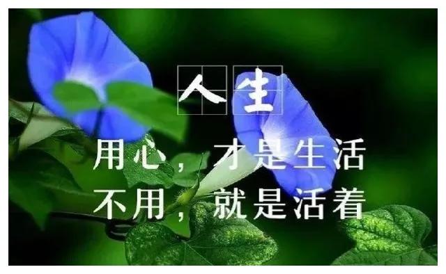 “生前不孝顺，死后掉眼泪”，究竟是悔恨而泣，还是故作伤悲