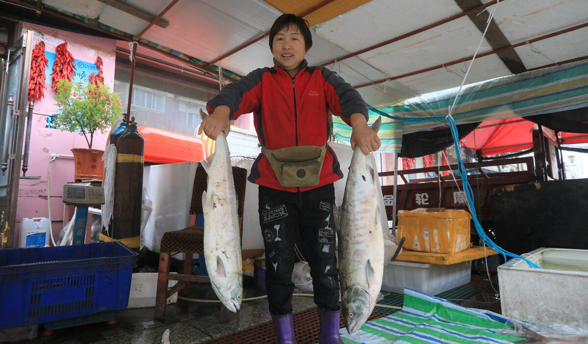 黑龙江渔民误捕1028斤鳇鱼，国家以22万元收购！中俄护鱼有效吗？