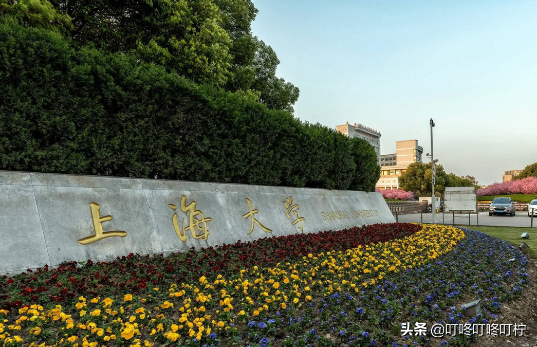 上海大学“游泳”变成线上考试，网友爆笑吐槽：真“线上冲浪”