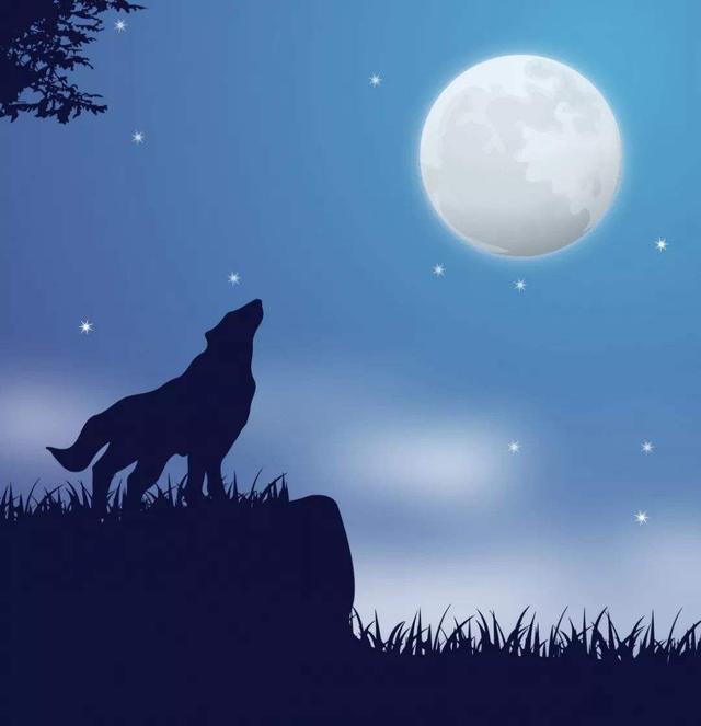 《狼王梦》:有一种爱叫母爱