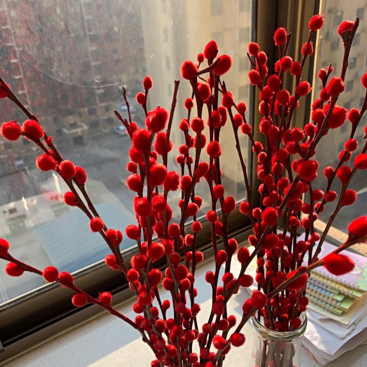 描写无根的花的优美句子