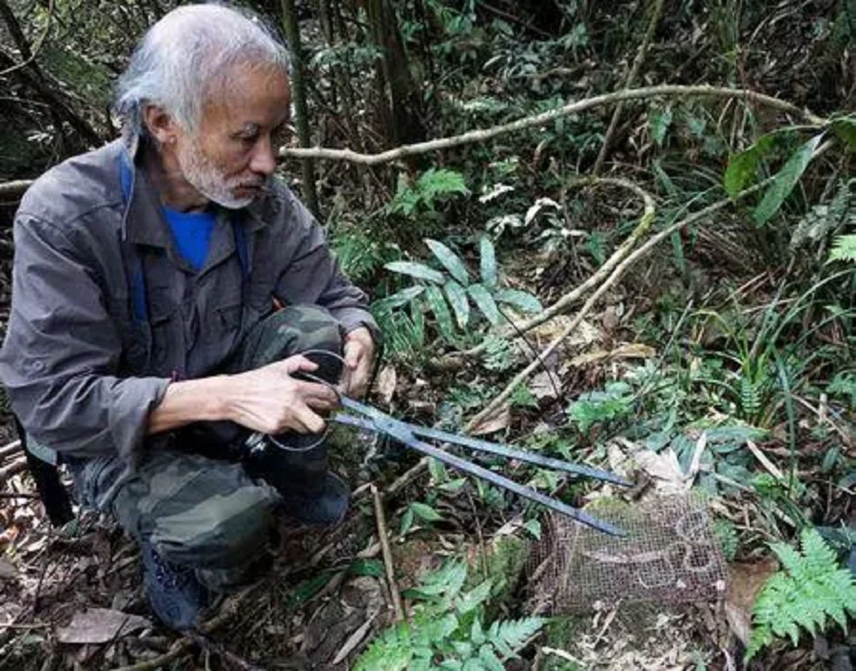 被誉为“蛇中熊猫”的小青龙，是中国独有蛇类，为何频频现身国外