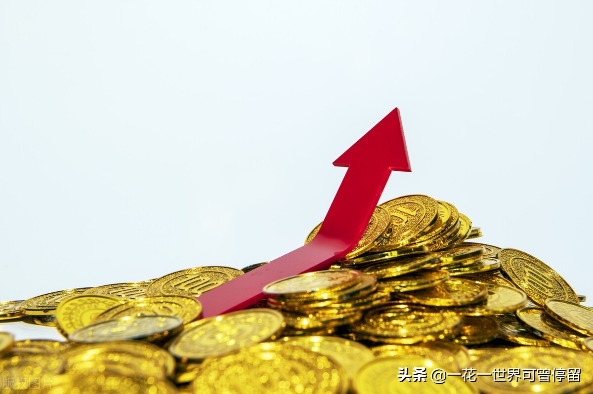 深圳公司代注册（在深圳注册公司）