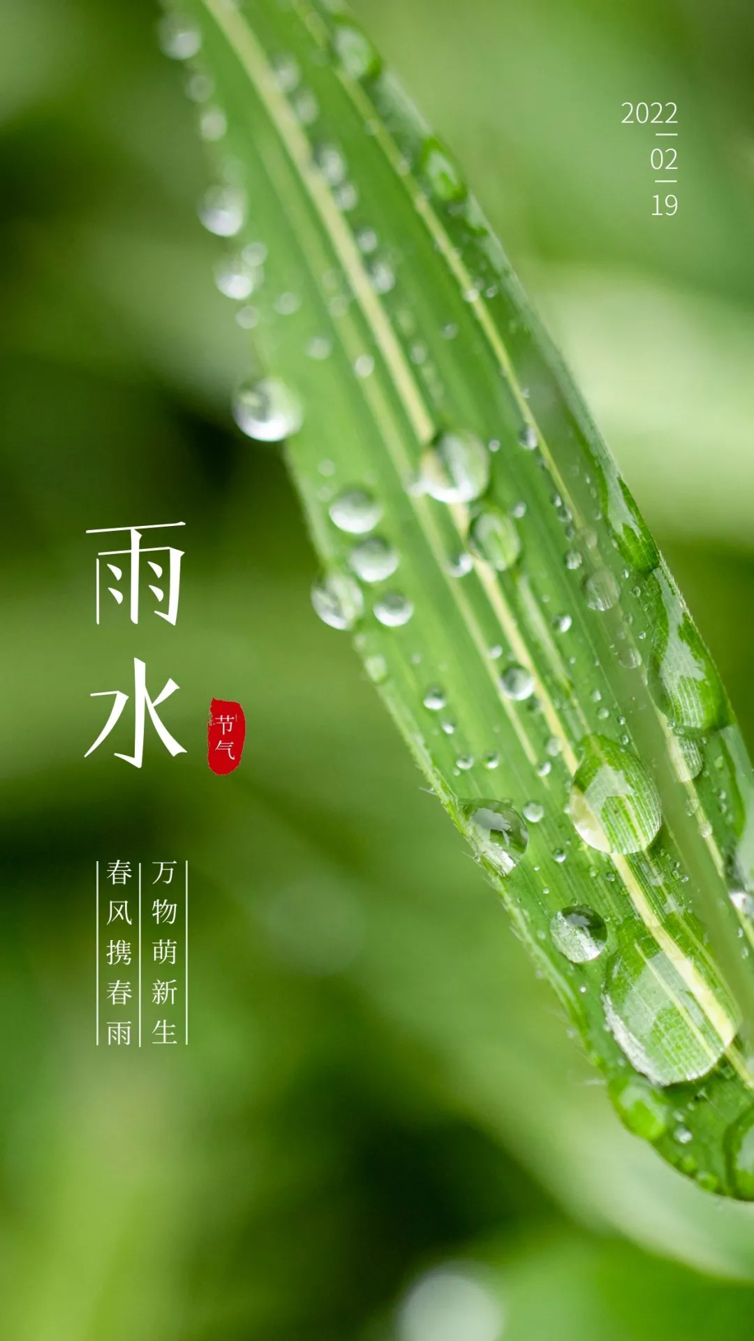 雨水节气图片配图高清唯美大全，雨水文案句子，雨水祝福语问候语