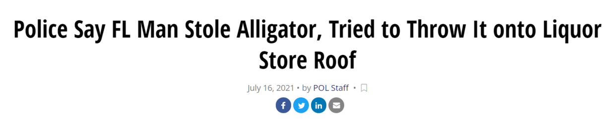 2021国外最全沙雕新闻来了！为什么这么好笑哈哈哈哈哈哈