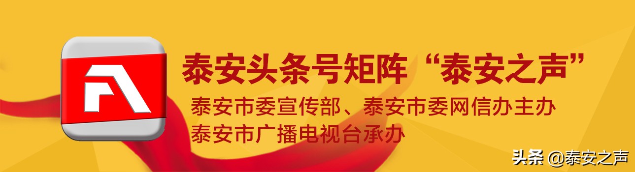 @泰安人 ，足不出户就能办理“无犯罪记录证明” 啦！