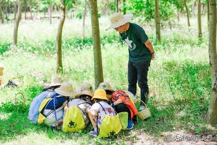 乡村产业发展，如何有效利用“四荒地”？5大创意玩法值得借鉴