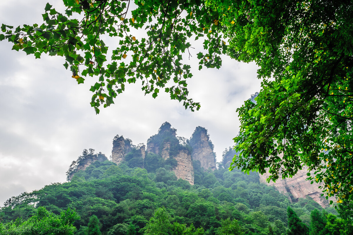 世界旅游组织在中国设立的观测点，你都知道几个呢？插图23