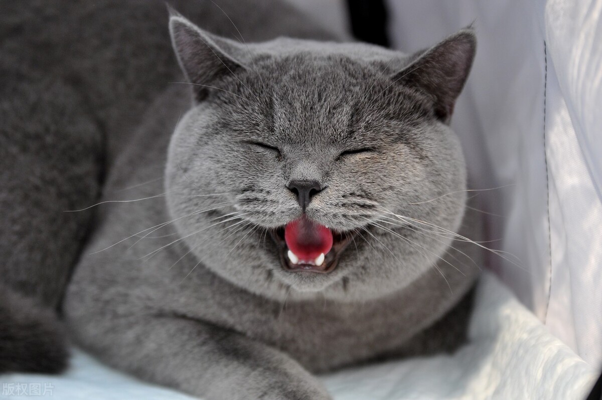 温州大学研究生好考吗（注意）