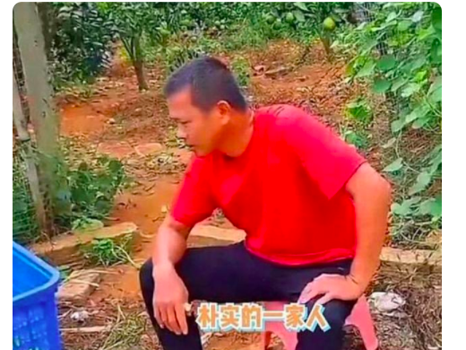 奥运冠军全红婵获重奖，全家喜提45万，仍坚持干农活让人肃然起敬