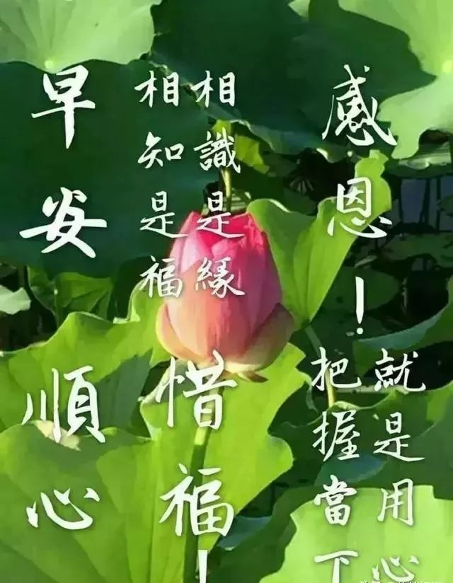 4月10日早上好問候語 溫馨週末清晨早上好短句 感恩相遇,珍惜友情