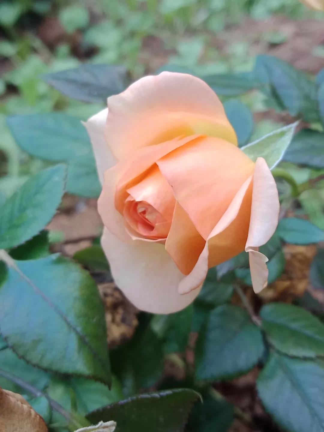 在58同城做精准推广，接一个电话的成本，大约是13.66元