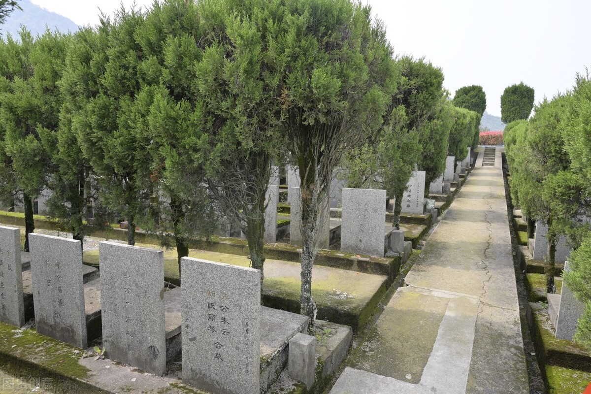 清明又见坟头草 (作者:王惠清)