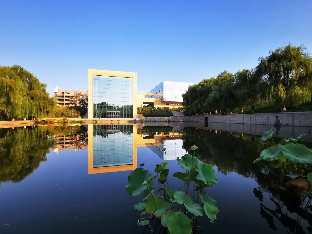 权威发布 | 青岛大学2022年普通高等教育招生章程