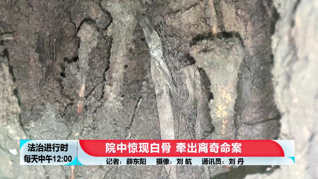 七台河杀人案（北京大案纪实）