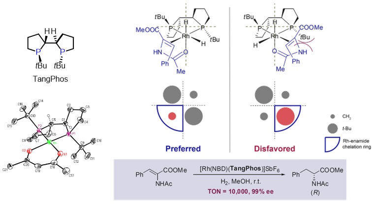 南方科技大学张绪穆教授近年来工作概览