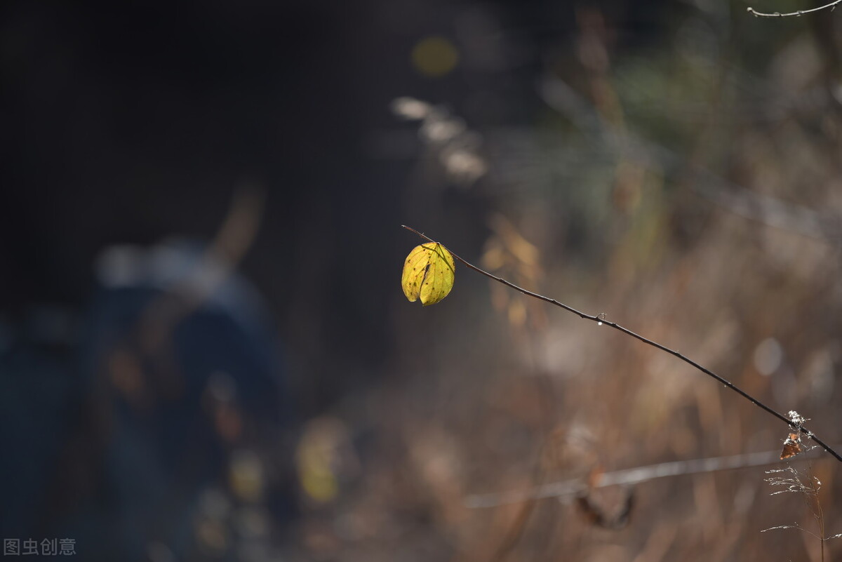 女相的男人（短篇小说）