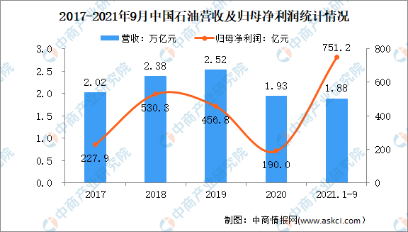 2022年中国石油化工行业市场前景及投资研究预测报告